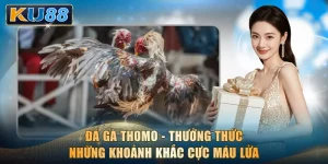 Đá Gà Thomo